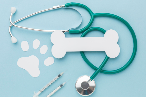 Top 10 Essential Veterinary Supplies Every Pet Owner Should Have