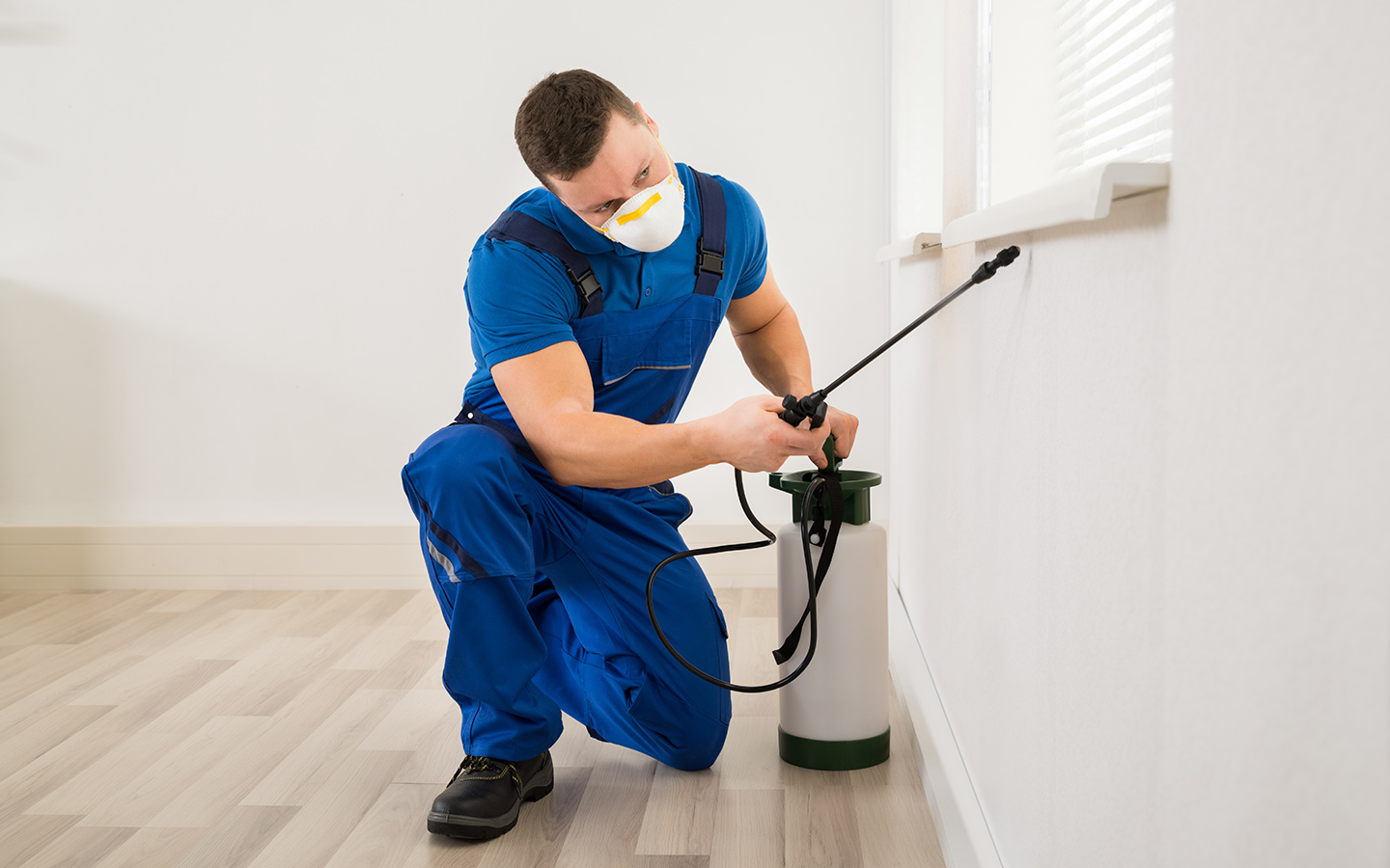 The Ultimate Guide to Pest Control Services that Ensuring a Pest-Free Environment