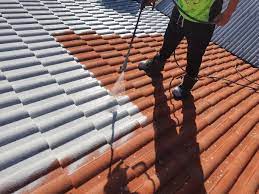 Preserving Excellence: The Art and Science of Roof Painting with Melbourne Painting Group