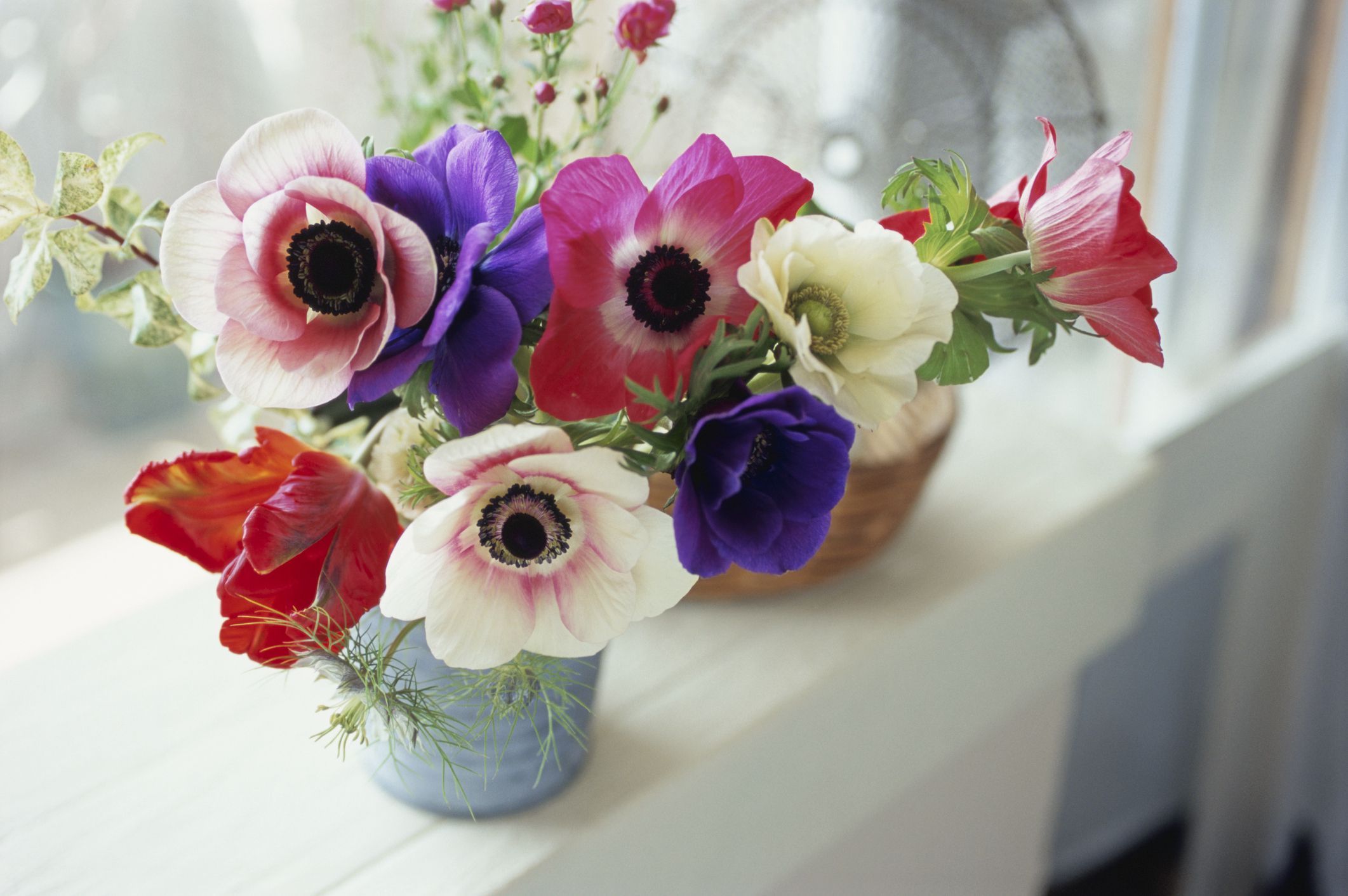 Anemone Flower Box for Sale - Explore Elegance at FlowersbyBee