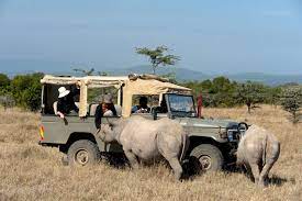 Exploring Kenya's Natural Wonders: A Private Kenya private safari