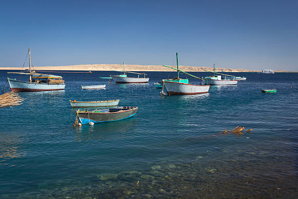 multiple boats on the sea