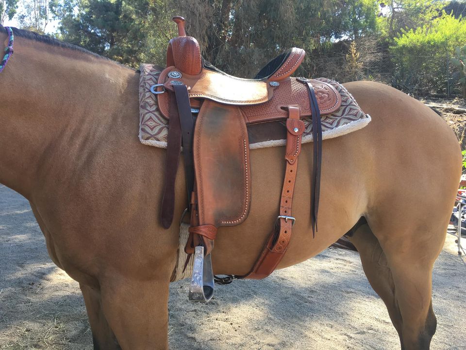 Exploring the Universe of Value and Reasonableness for Horse Saddles for Sale