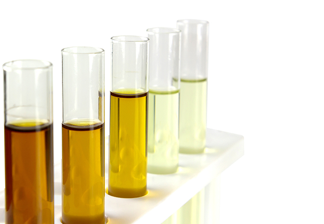 Unveiling Precision and Quality: EKO Testing Labs - Your Trusted Petroleum Testing Laboratory