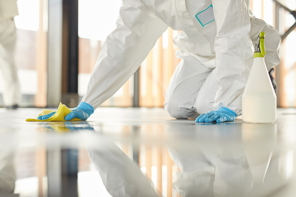 The Ultimate Guide to Clean Vinyl Flooring and Tile Maintenance