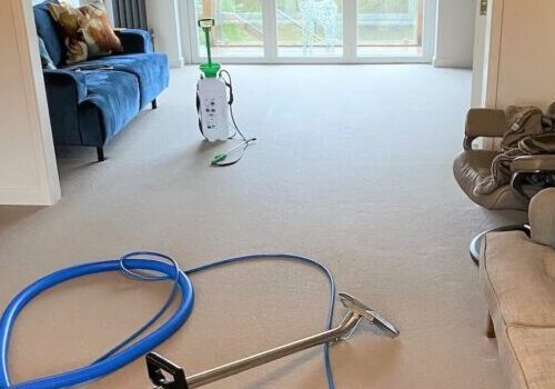 The Importance of Professional Carpet Cleaning for a Healthy Home Environment