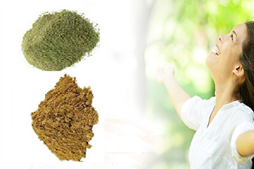 Naturally Potent: Vaibhav Traders – Your Trusted Herbal Extract Supplier in Delhi