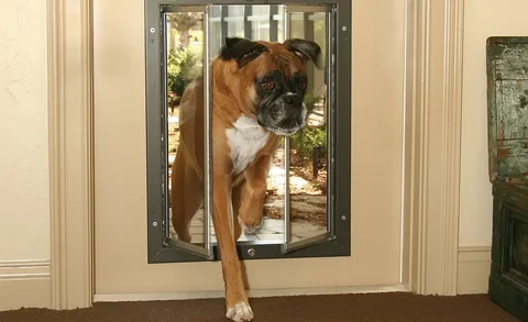 Upgrade Your Home with Pet Ready French Doors & Doggie Doors