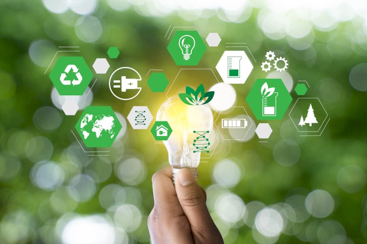 Sustainable Tech Ventures: Nurturing a Greener Tomorrow