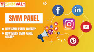 Unveiling the Power of SMM Panels: Transforming Social Media Marketing Strategies