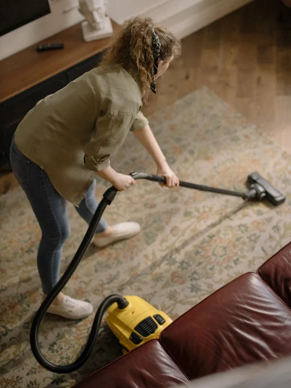 Dust-Free Vinyl: Reviews and Recommendations for High-Performance Vacuums