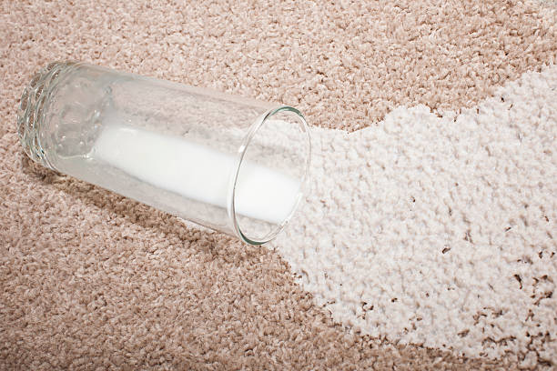 milk spill on carpet