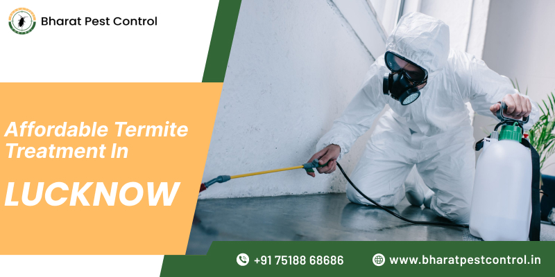 Affordable Termite Treatment in Lucknow | Bharat Pest Control
