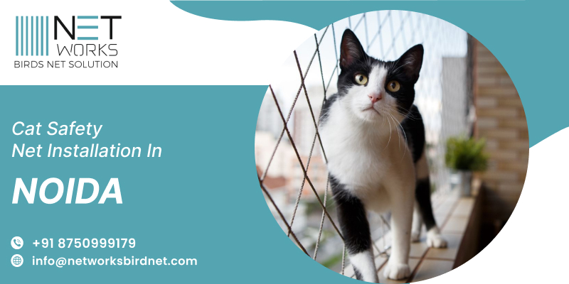 Cat Safety Net Installation in Noida- Networks Bird Net