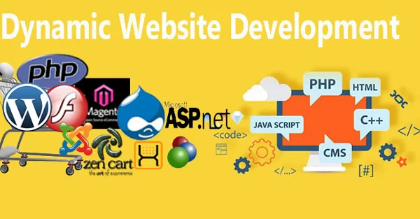 "Unleashing the Power of Dynamic Website Development"