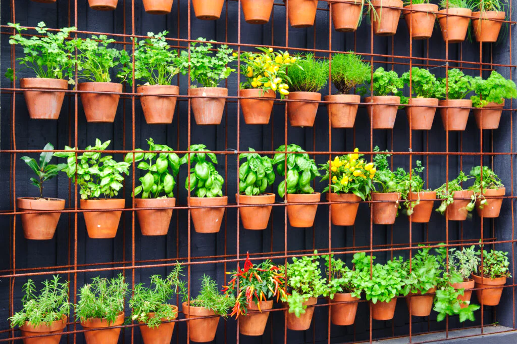 Branded Plant Containers Play a Key Role in Brand Differentiation