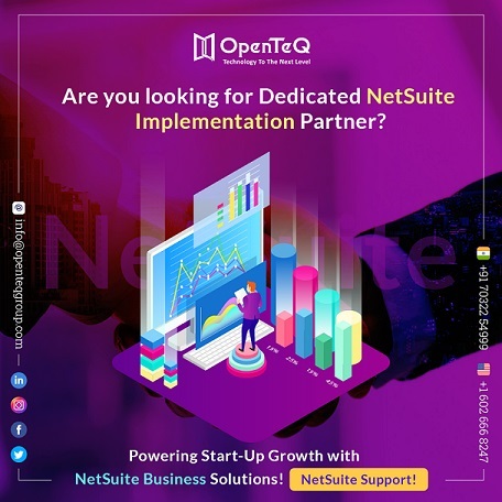 Unlocking Business Potential: A Deep Dive into NetSuite Development