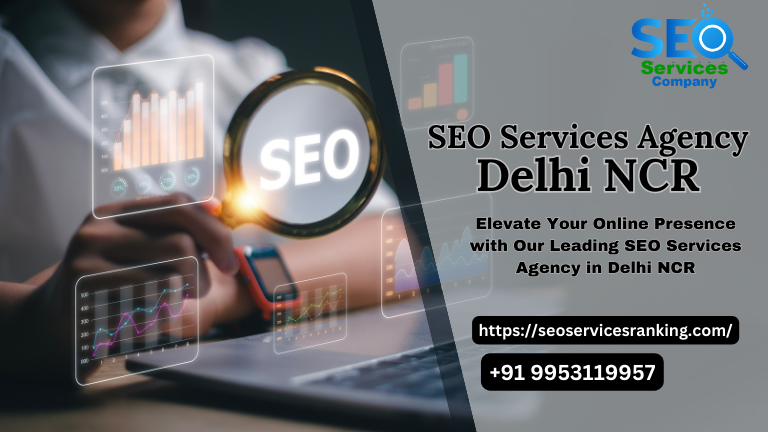 Seo Service Agency in Delhi NCR