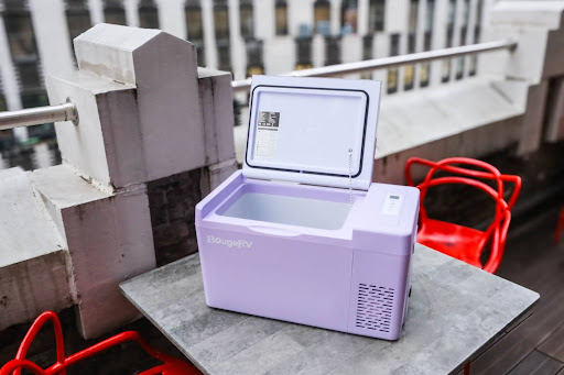 A Splash of Purple in the Great Outdoors: My BougeRV Fridge Experience