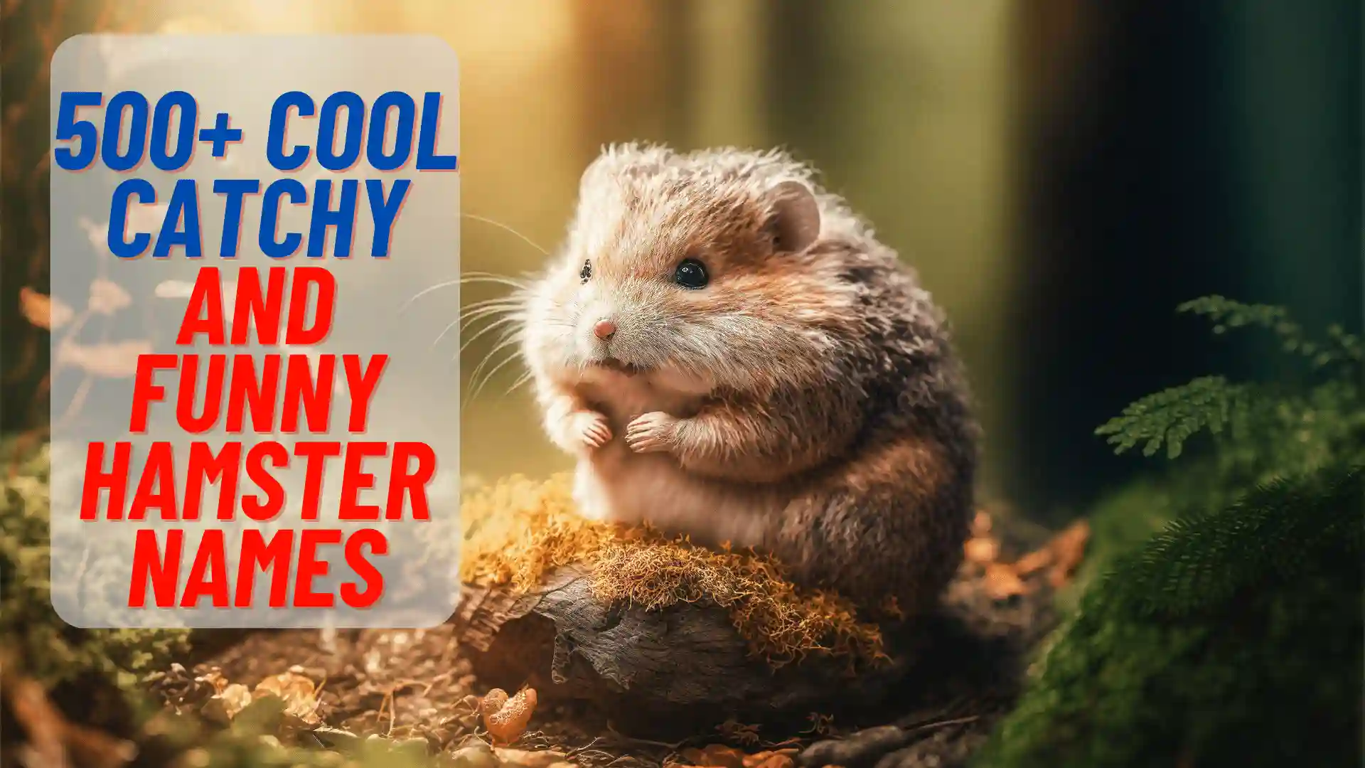 Funny Hamster Names: A Hilarious Guide to Naming Your Furry Friend