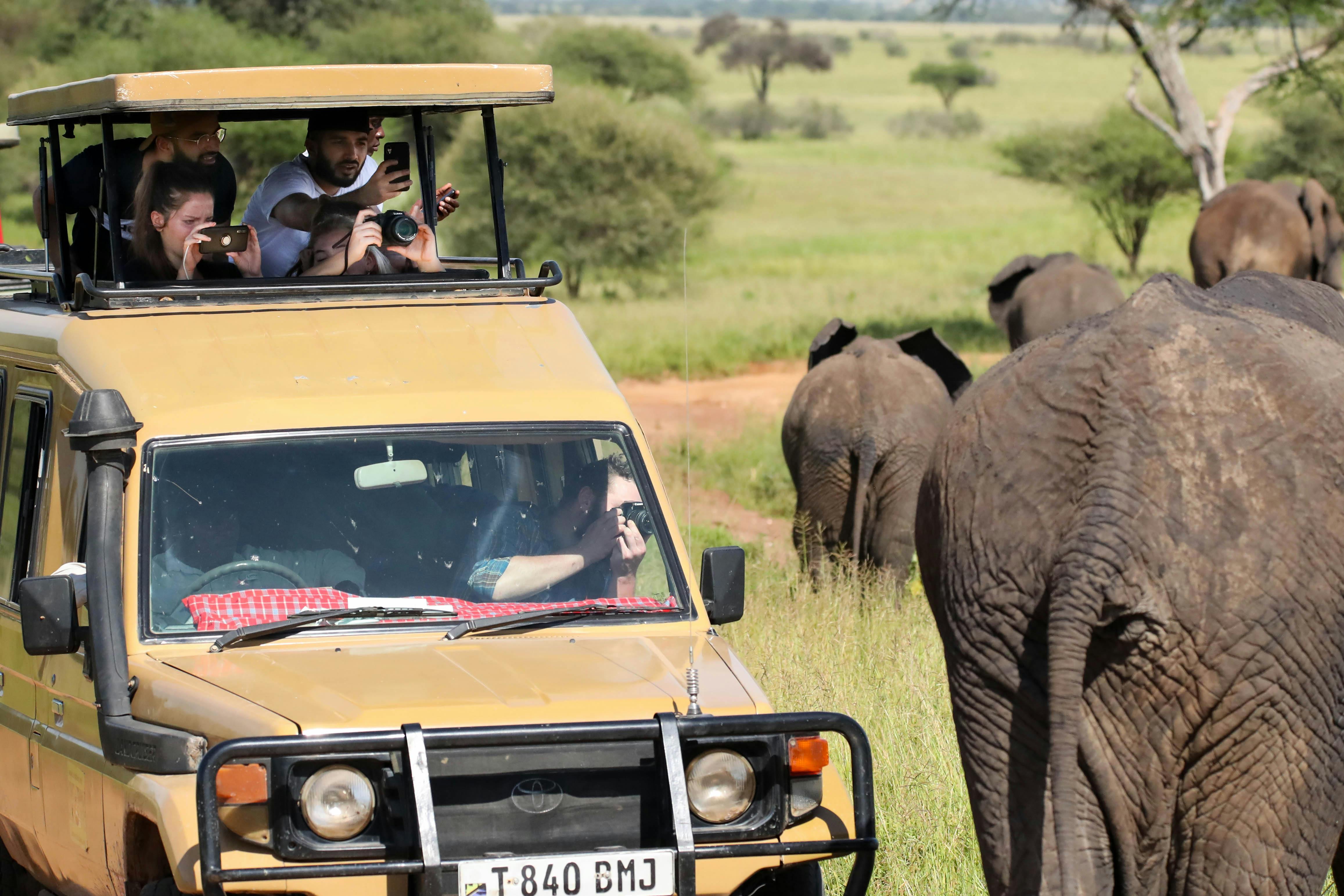 Adventure Beckons: Explore Kenya's Safaris & the Masai Mara