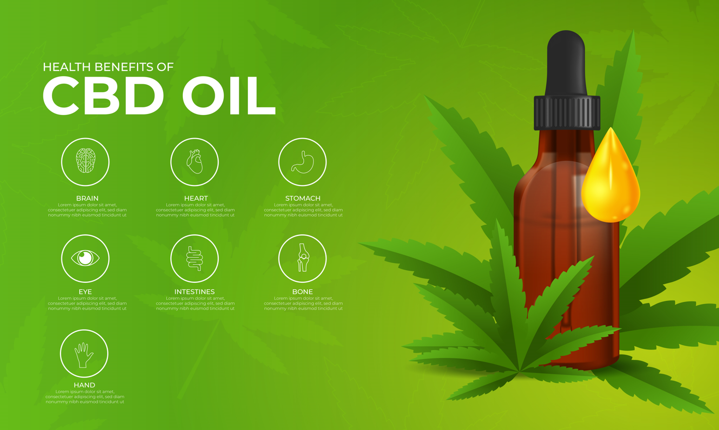 Do Medical Professionals Endorse the Use of CBD Oil?