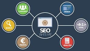 Master SEO Skills with WebXeros: Your Premier SEO Training Course Provider
