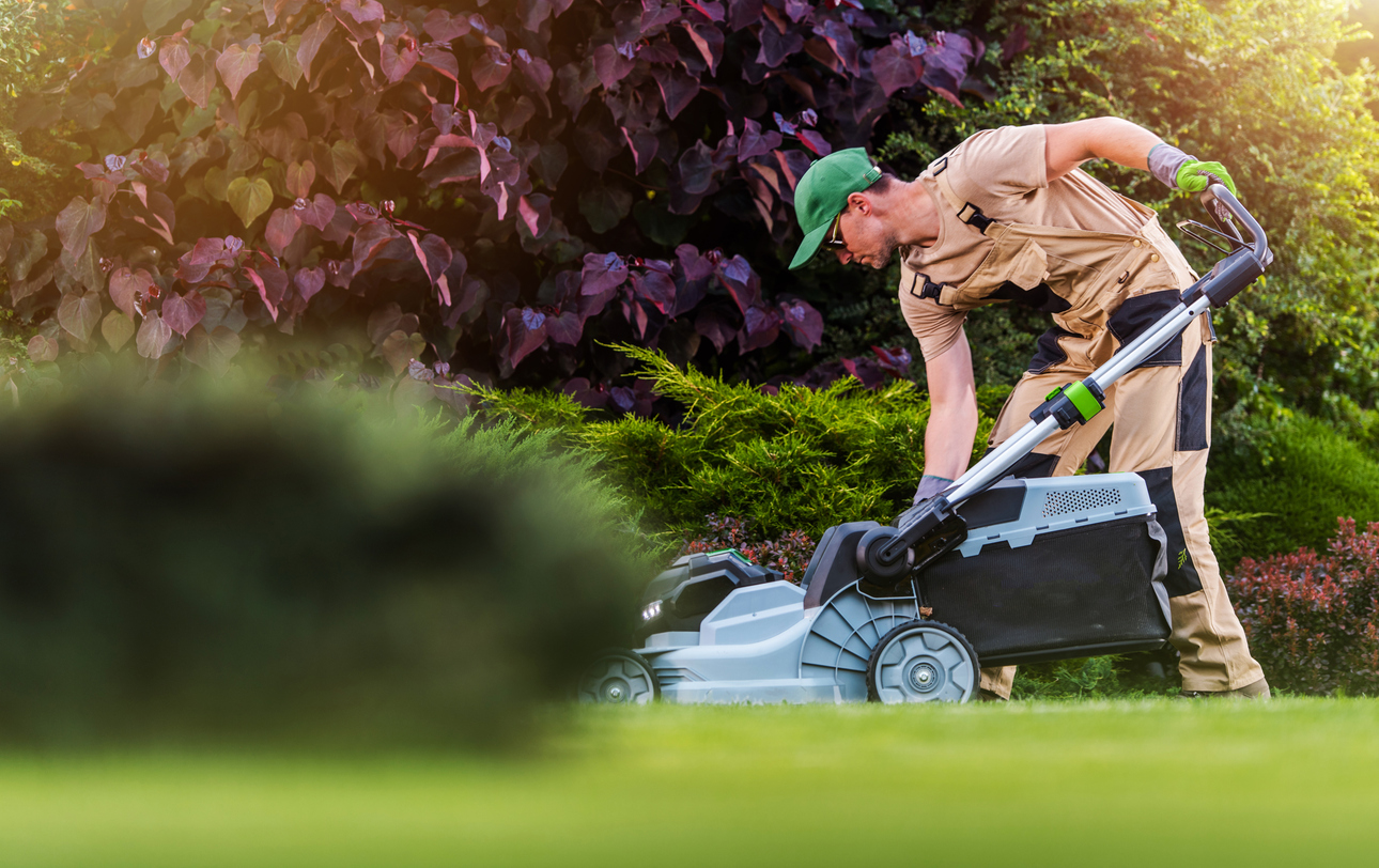 Lawn and Pest Control Services: Enhancing Your Outdoor Living Space