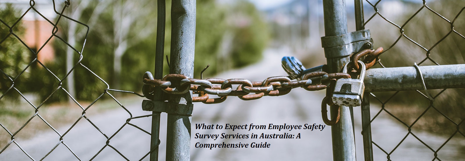 What to Expect from Employee Safety Survey Services in Australia: A Comprehensive Guide