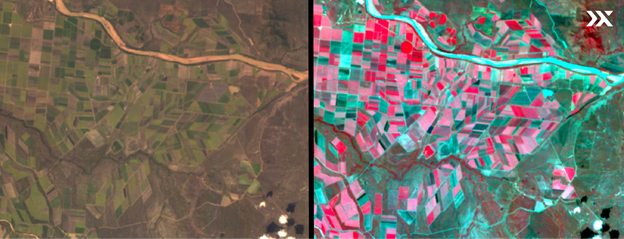 Maximising Crop Yields with Hyperspectral Imagery
