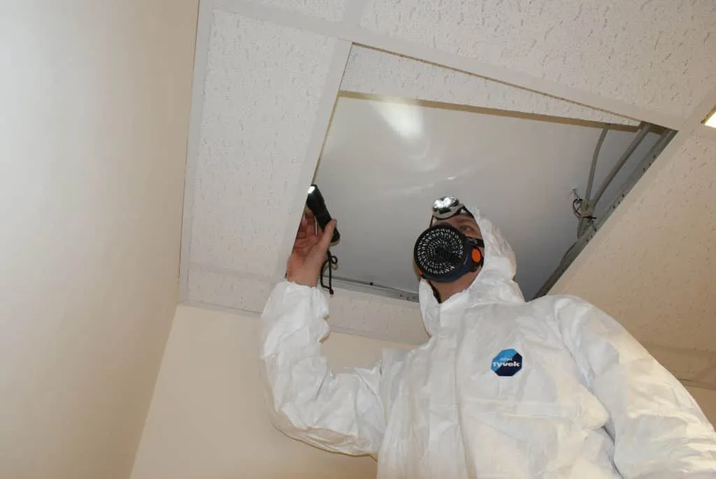 The Critical Role of Professional Asbestos Surveys in Building Safety Management