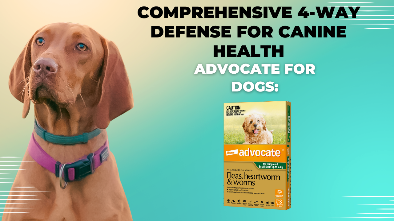 Advocate for Dogs: Comprehensive 4-Way Defense for Canine Health | TechPlanet