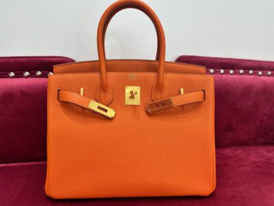 Own Hermes Exotic Birkin Bag and Style Your Statement