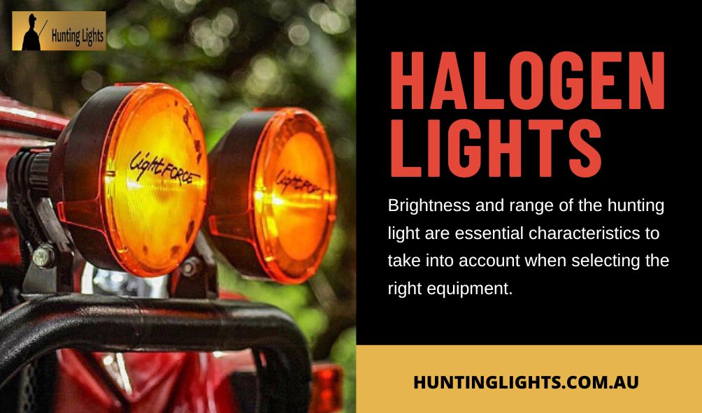 6 Essential Features to Look for in the Best Hunting Lights