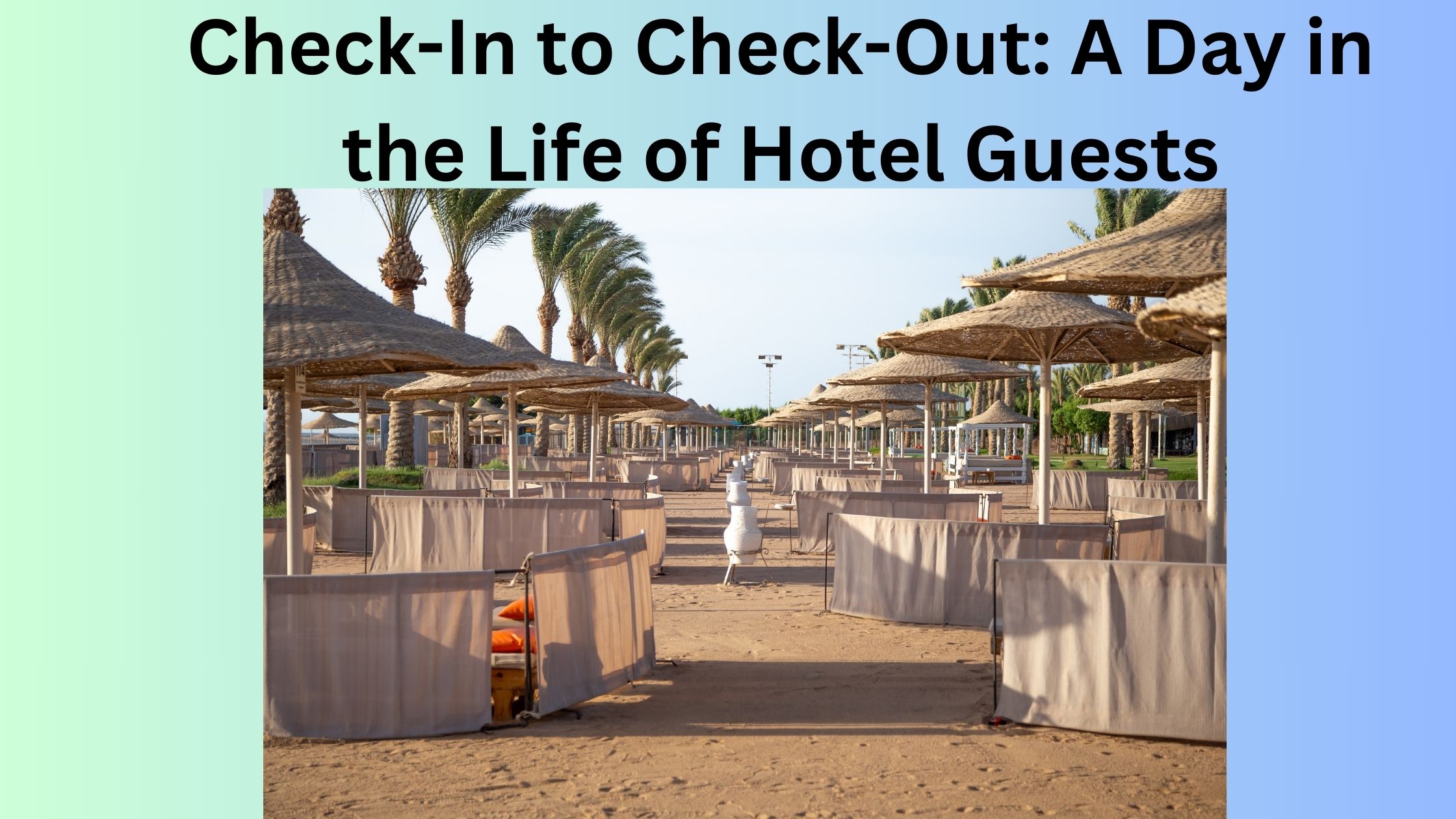 Check-In to Check-Out: A Day in the Life of Hotel Guests