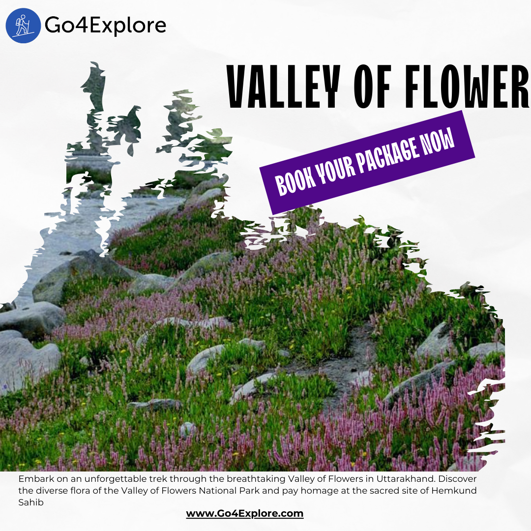 Valley of Flower trek