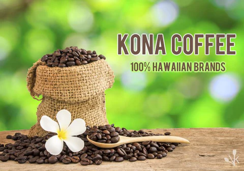 From Bean to Cup: The Journey of the Best Kona Coffee: