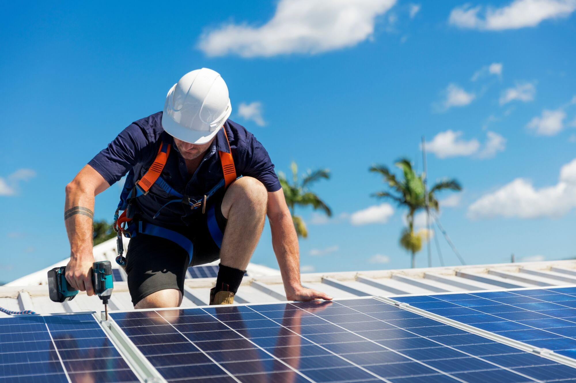 How Much Does A Solar Energy Company Save On Your Electric Bill?