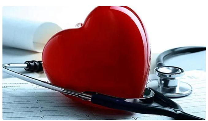 Tips to Balance IPL Excitement with a Healthy Heart