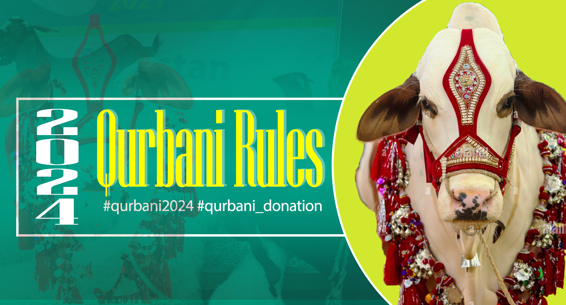 Sacrifice with Purpose: Qurbani Guidelines 2024 - Enriching Lives with Generosity