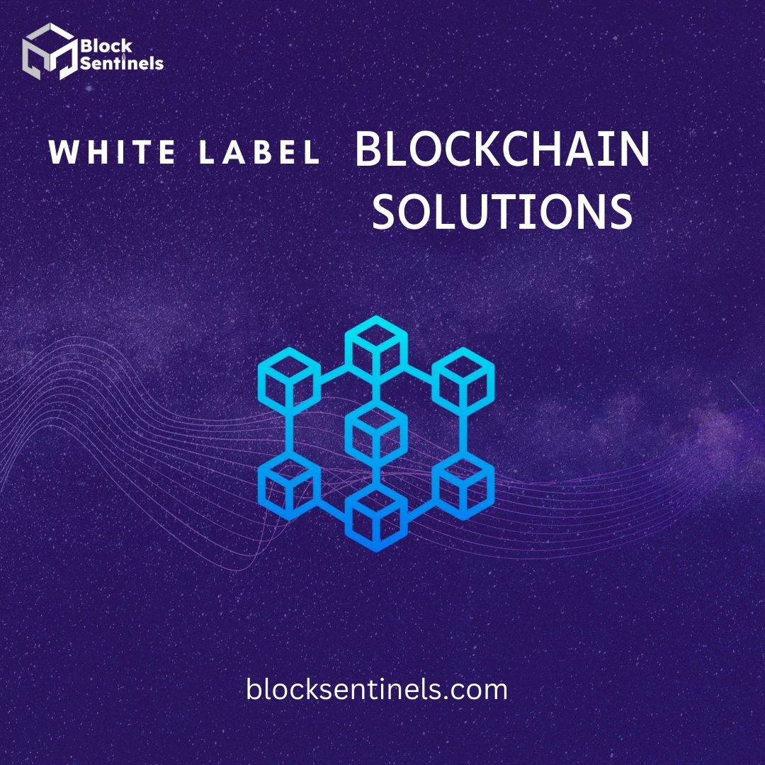 Developing Business Potential: The Advantages of Developing White Label Blockchain Solutions