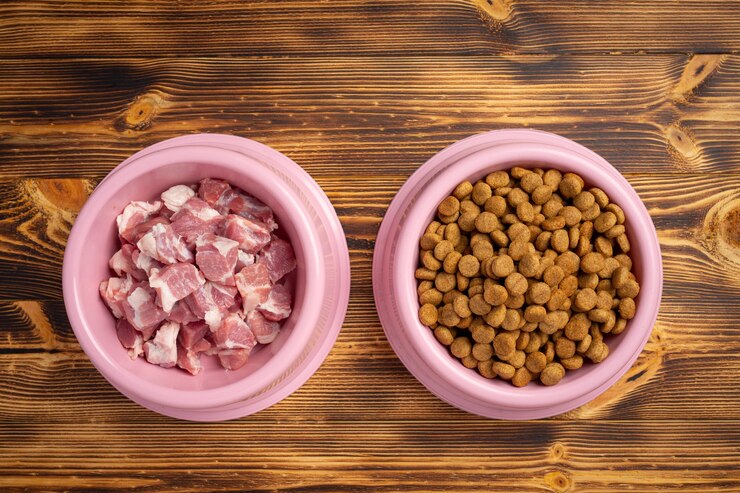 Find Raw Dog Food Delivery Florida and the Best Frozen Dog Food Options