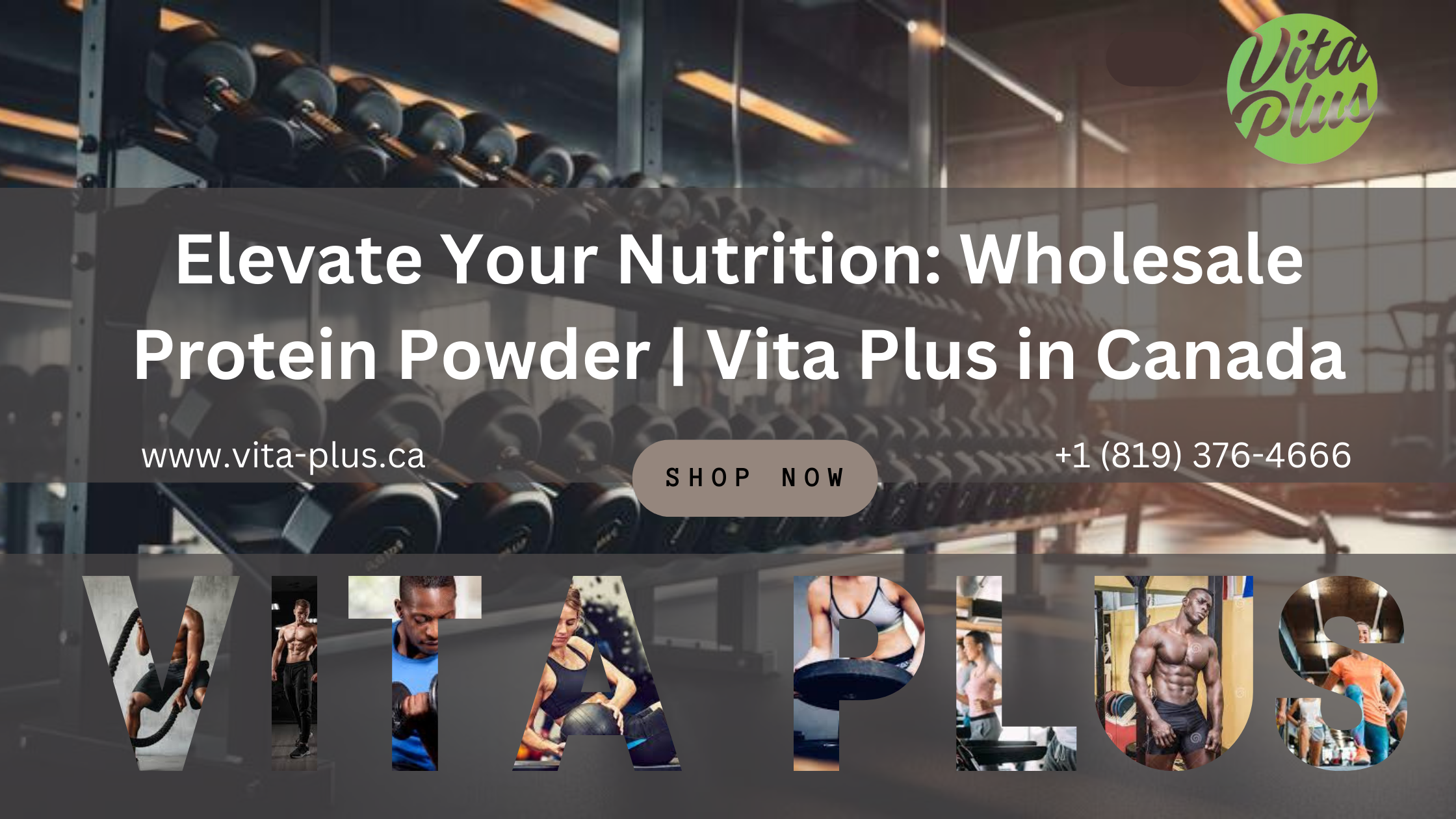 Elevate Your Nutrition: Wholesale Protein Powder | Vita Plus in Canada