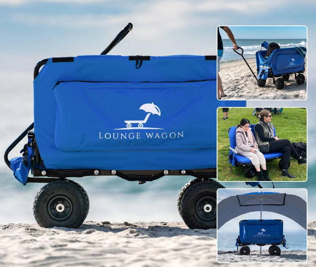 beach buggy cart