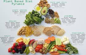 Exploring the Profound Benefits of a Vegan Diet