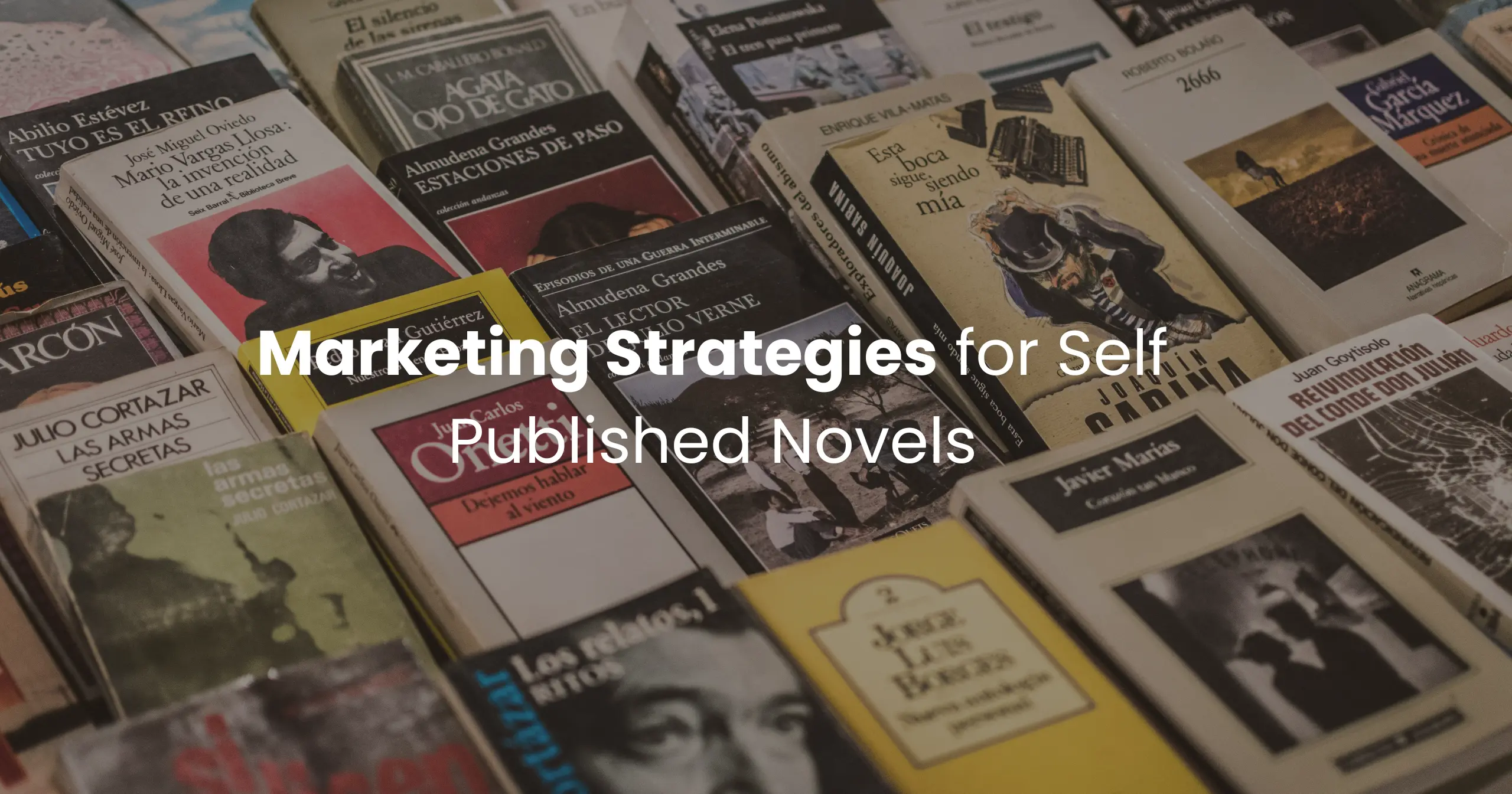 Marketing Strategies for Self Published Novels